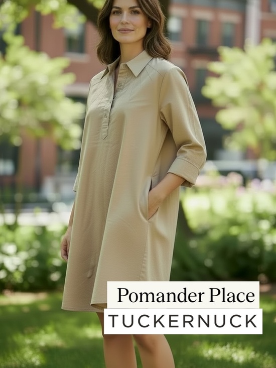 Dresses & Skirts - POMANDER Place by TUCKERNUT tan shift shirt dress, S, GL1365